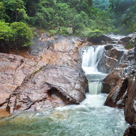 チャン島Jeroen'S Jungle Viewアパートメント エクステリア 写真